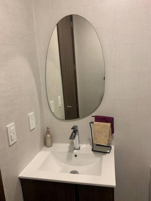 Confort Suite La Carolina 基多 外观 照片